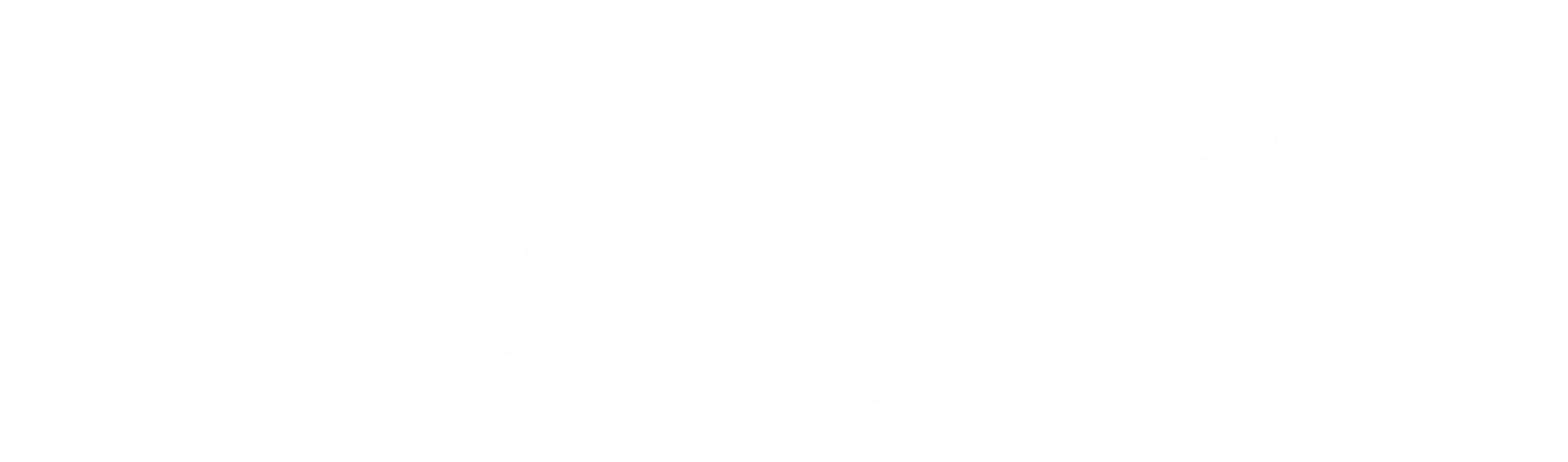 Shooting Star Merchandise Logo